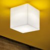 Beetle Surface Light Mini Cube / All White Ceiling